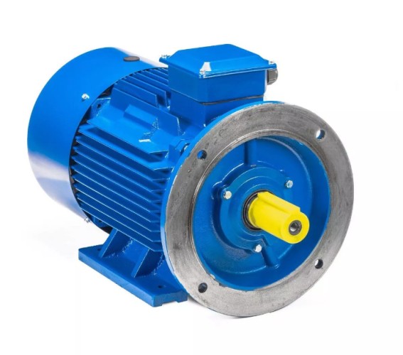 Электродвигатель 5Аи 200 L6 30/1000 IM 2001 01.01.213650 - изображение 2