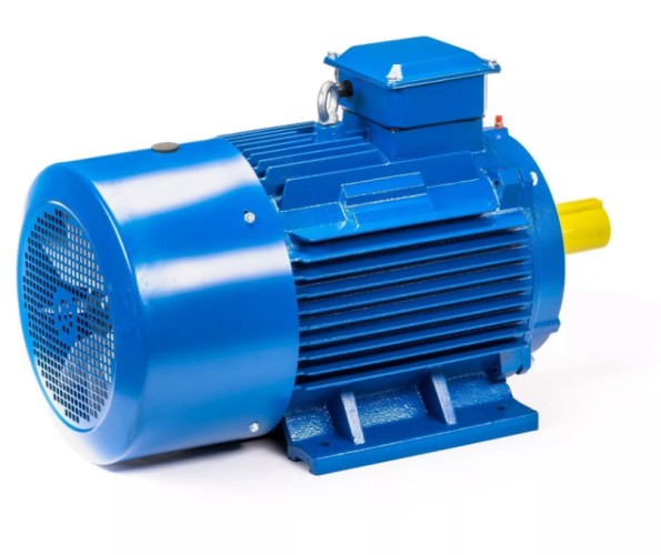 Электродвигатель 5Аи 200 М6 22/1000 IM 1001 01.01.213655 - изображение 5