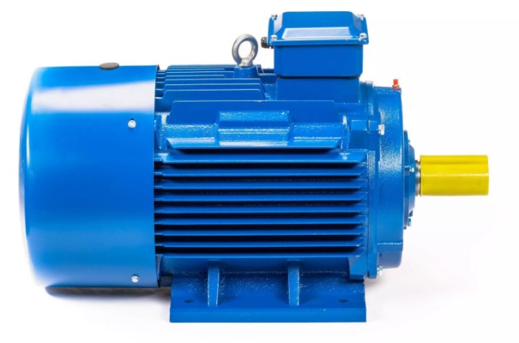 Электродвигатель 5Аи 225 М2 55/3000 IM 1001 01.01.213659 - изображение 4