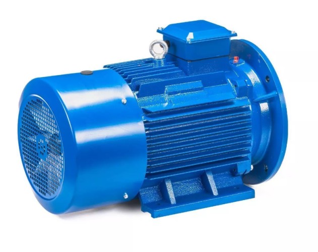 Электродвигатель 5Аи 225 М4 55/1500 IM 2001 01.01.213506 - изображение 5