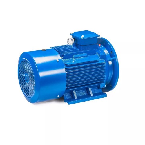 Электродвигатель 5Аи 225 М6 37/1000 IM 2001 01.01.213662 - изображение 5