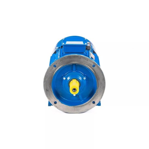 Электродвигатель 5Аи 225 М6 37/1000 IM 2001 01.01.213662 - изображение 3