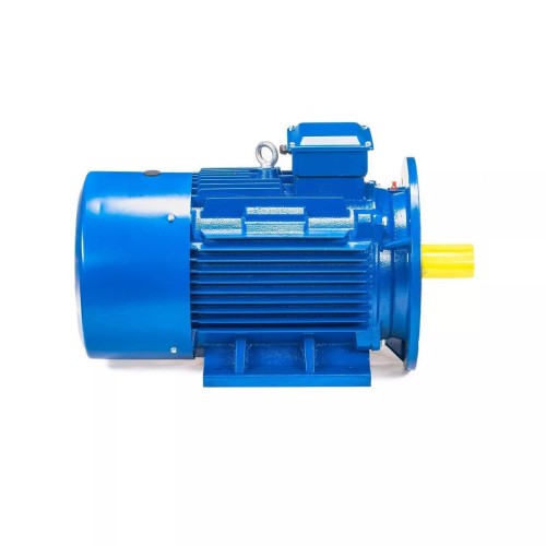 Электродвигатель 5Аи 225 М6 37/1000 IM 2001 01.01.213662 - изображение 4