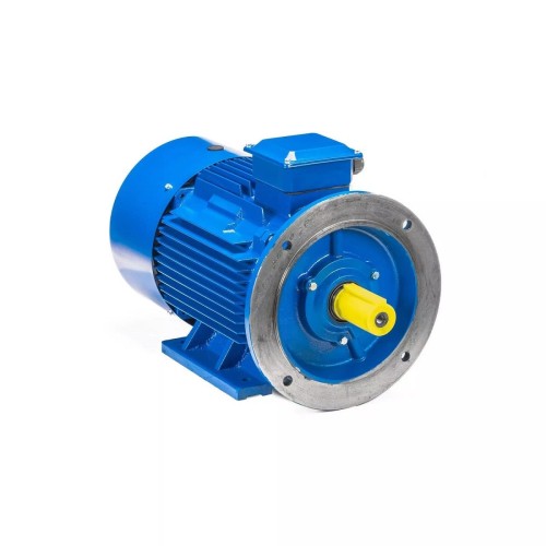 Электродвигатель 5Аи 225 М6 37/1000 IM 2001 01.01.213662 - изображение 2