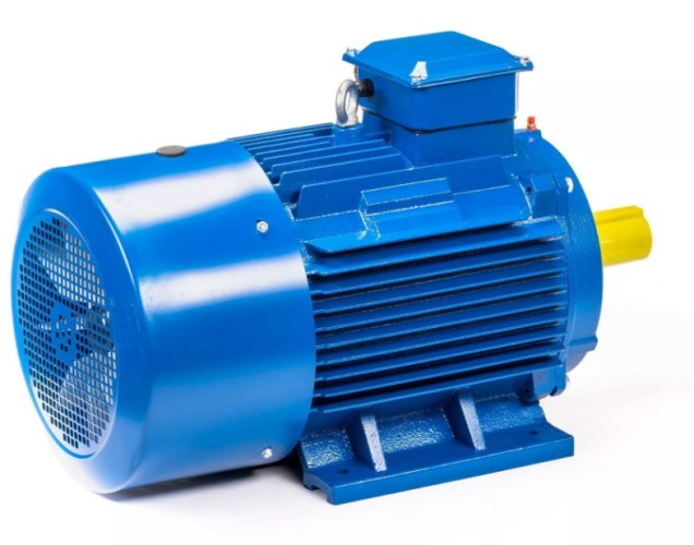 Электродвигатель 5Аи 225 М8 30/750 IM 1001 01.01.213663 - изображение 5