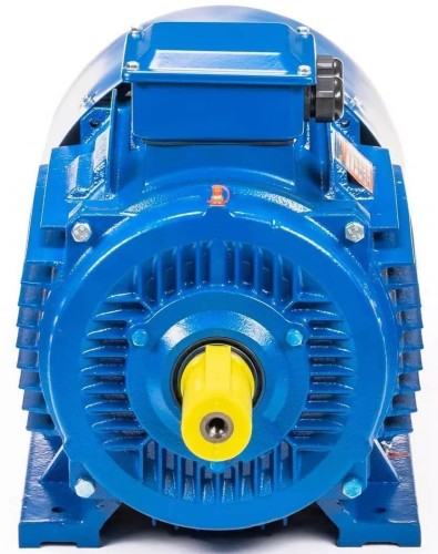 Электродвигатель 5Аи 250 М6 55/1000 IM 1001 01.01.213758 - изображение 3