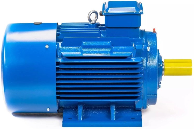 Электродвигатель 5Аи 250 М6 55/1000 IM 1001 01.01.213758 - изображение 4