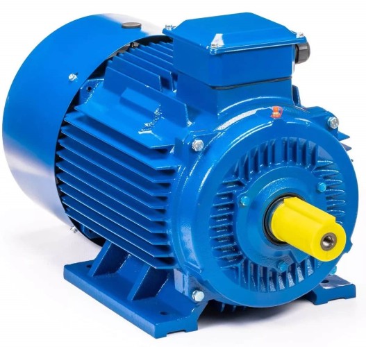 Электродвигатель 5Аи 250 М6 55/1000 IM 1001 01.01.213758