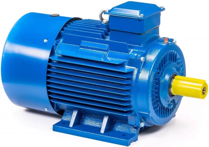 Электродвигатель 5Аи 250 М6 55/1000 IM 1001 01.01.213758 - изображение 2