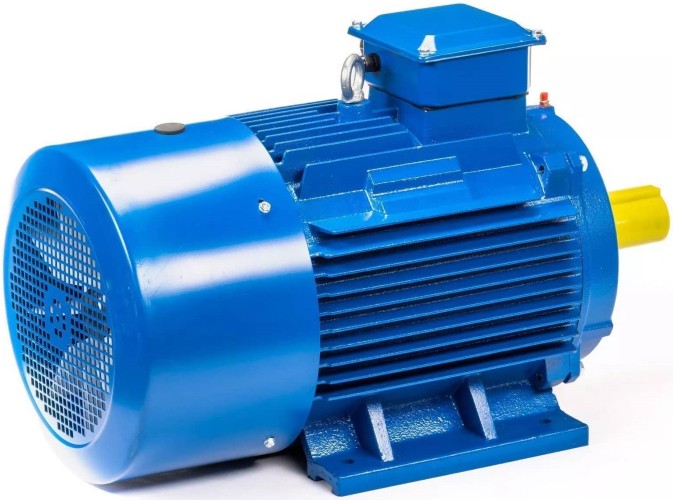 Электродвигатель 5Аи 250 М6 55/1000 IM 1001 01.01.213758 - изображение 5