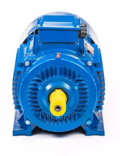 Электродвигатель 5Аи 250 S4 76/1500 IM 1001 01.01.220401 - изображение 3