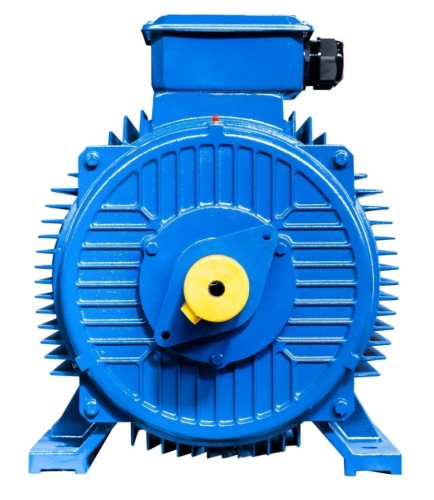 Электродвигатель 5Аи 280 S2 110/3000 IM 1001 01.01.213706 - изображение 3