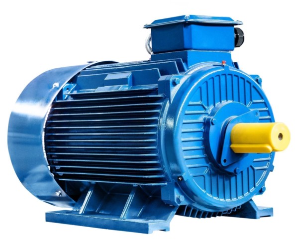 Электродвигатель 5Аи 280 S4 110/1500 IM 1001 01.01.213763