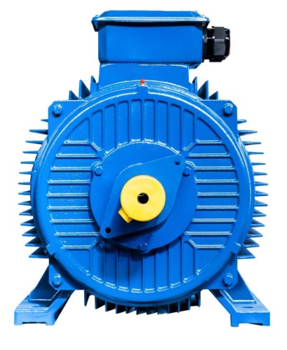 Электродвигатель 5Аи 280 S4 110/1500 IM 1001 01.01.213763 - изображение 5