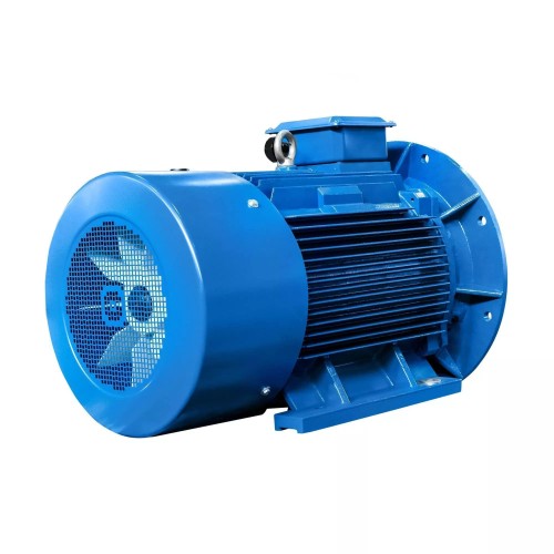 Электродвигатель 5Аи 280 S4 110/1500 IM 2001 01.01.214242 - изображение 3