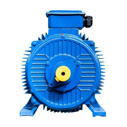 Электродвигатель 5Аи 280 S6 75/1000 IM 1001 01.01.213764 - изображение 3