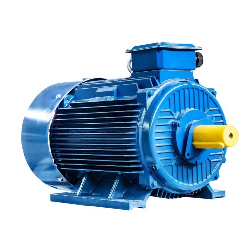 Электродвигатель 5Аи 315 S2 160/3000 IM 1001 01.01.213489