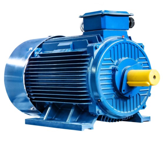 Электродвигатель 5Аи 315 S4 160/1500 IM 1001 01.01.213490 - изображение 4