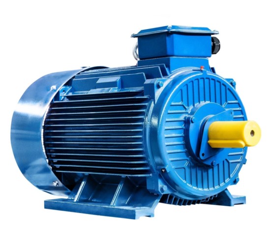 Электродвигатель 5Аи 355 MLA4 355/1500 IM 1001 01.01.221999 - изображение 4