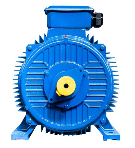 Электродвигатель 5Аи 355 MLA4 355/1500 IM 1001 01.01.221999 - изображение 3