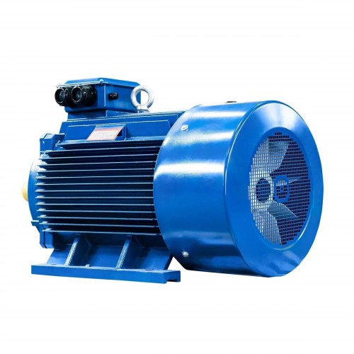 Электродвигатель 5Аи 355 MLA8 200/750 IM 1001 01.01.221561 - изображение 3