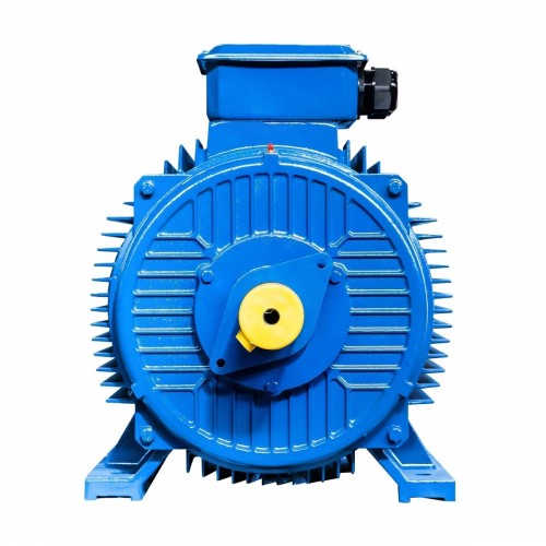 Электродвигатель 5Аи 355 MLB6 315/1000 IM 1001 01.01.219436 - изображение 2