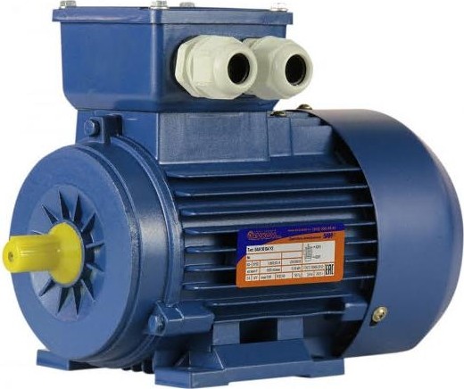 Электродвигатель 5Аи 56 В4 0.18/1500 IM 1081 01.01.213516
