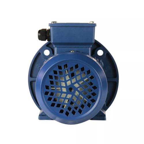 Электродвигатель 5Аи 63 В2 0.55/3000 IM 2081 01.01.213528 - изображение 3