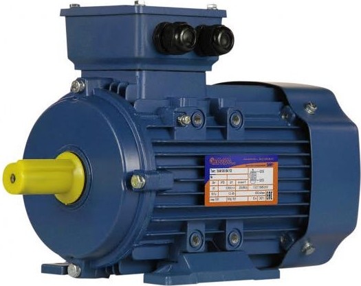 Электродвигатель 5Аи 80 В4 1.5/1500 IM 1081 01.01.213547