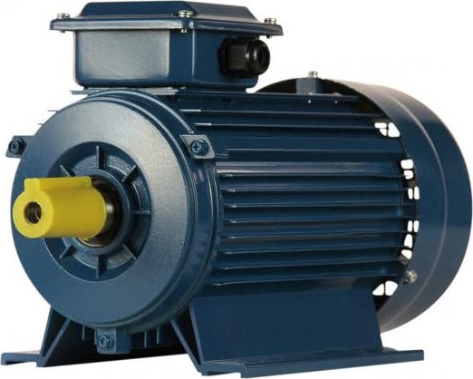 Электродвигатель 5Аи 90 L2 3/3000 IM 1081 01.01.213461