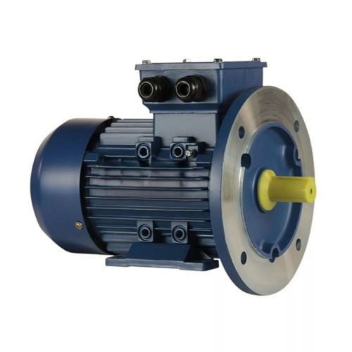 Электродвигатель 5Аи 90 L2 FT115 3/3000 IM 2181 01.01.221508