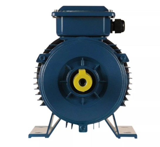 Электродвигатель 5Аи 90 LB8 1.1/750 IM 1081 01.01.217764 - изображение 3