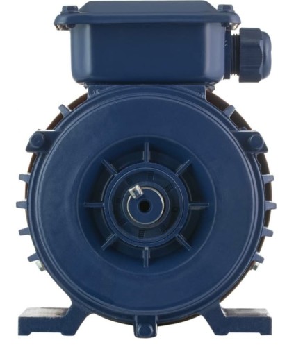 Электродвигатель БЭЗ АИР 56B2 IM1081 33250 - изображение 1