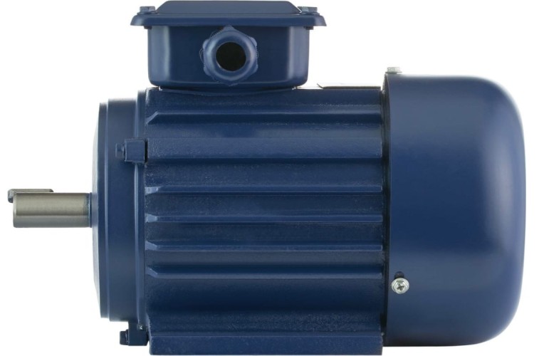 Электродвигатель БЭЗ АИР 56B4 IM1081 38881 - изображение 3