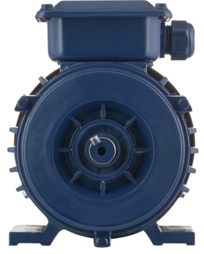 Электродвигатель БЭЗ АИР 56B4 IM1081 38881 - изображение 2