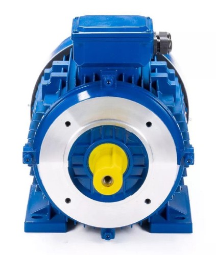 Электродвигатель ESQ 100 LA2-SDN- IM B34 3/3000 01.05.221662 - изображение 2