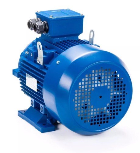 Электродвигатель ESQ 100 LB2-SDN- IM B3 4/3000 01.05.221579 - изображение 3
