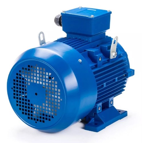 Электродвигатель ESQ 100 LB4-SDN- IM B3 3/1500 01.05.221580 - изображение 5