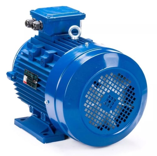 Электродвигатель ESQ 100 LB4-SDN- IM B34 3/1500 01.05.219843 - изображение 3