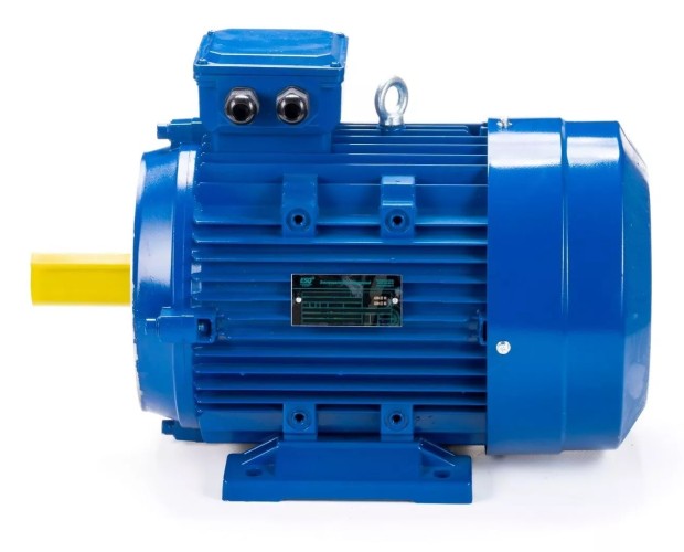 Электродвигатель ESQ 100 LB4-SDN- IM B34 3/1500 01.05.219843 - изображение 4