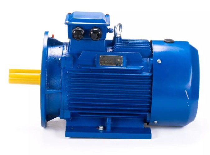 Электродвигатель ESQ 112 MB2-SDN- IM B35 5.5/3000 01.05.220500 - изображение 4