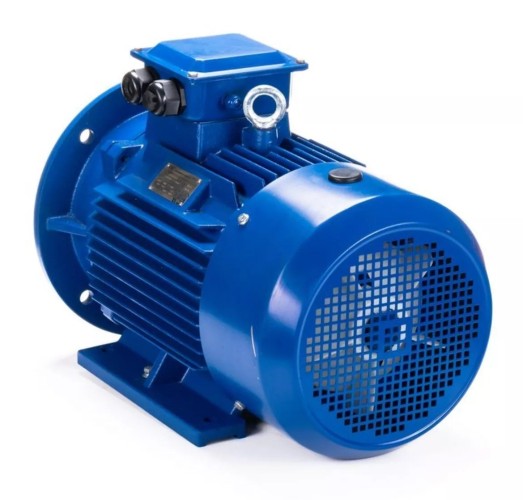 Электродвигатель ESQ 112 MB2-SDN- IM B3 5.5/3000 01.05.222577 - изображение 3