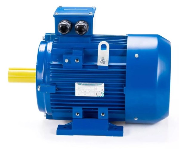 Электродвигатель ESQ 160 MA2-SDN- IM B3 11/3000 01.05.221584 - изображение 4