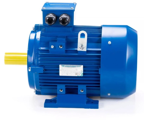 Электродвигатель ESQ 180 L4-SDN- IM B3 22/1500 01.05.221587 - изображение 4