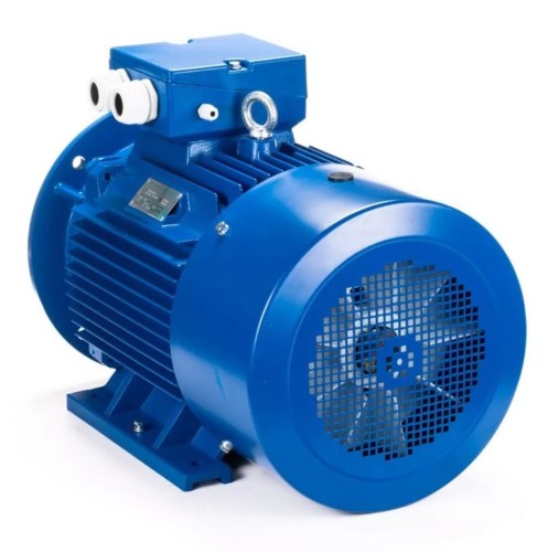 Электродвигатель ESQ 180 M2-SDN- IM B35 22/3000 01.05.222303 - изображение 3