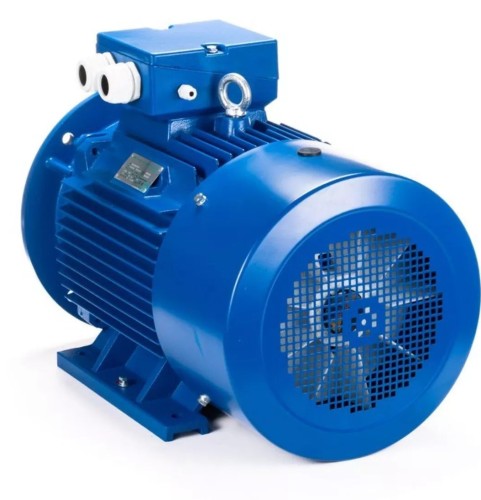 Электродвигатель ESQ 180 M4-SDN- IM B35 18.5/1500 01.05.221621 - изображение 3