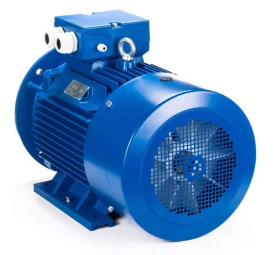 Электродвигатель ESQ 250 M2-SDN- IM B35 55/3000 01.05.222569 - изображение 3