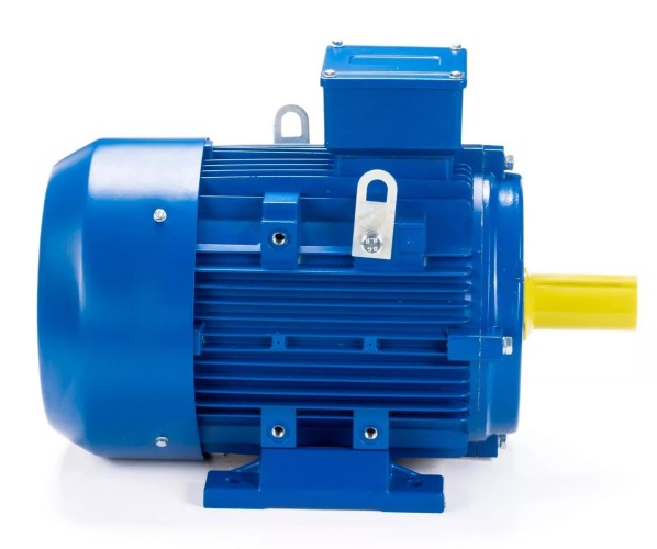 Электродвигатель ESQ 250 M6-SDN- IM B3 37/1000 01.05.222485 - изображение 4