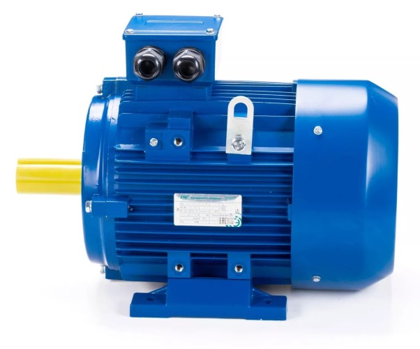 Электродвигатель ESQ 250 M6-SDN- IM B3 37/1000 01.05.222485 - изображение 2