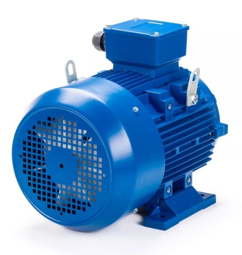 Электродвигатель ESQ 250 M6-SDN- IM B3 37/1000 01.05.222485 - изображение 3